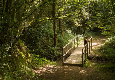 Nature secrète © Malika Turin