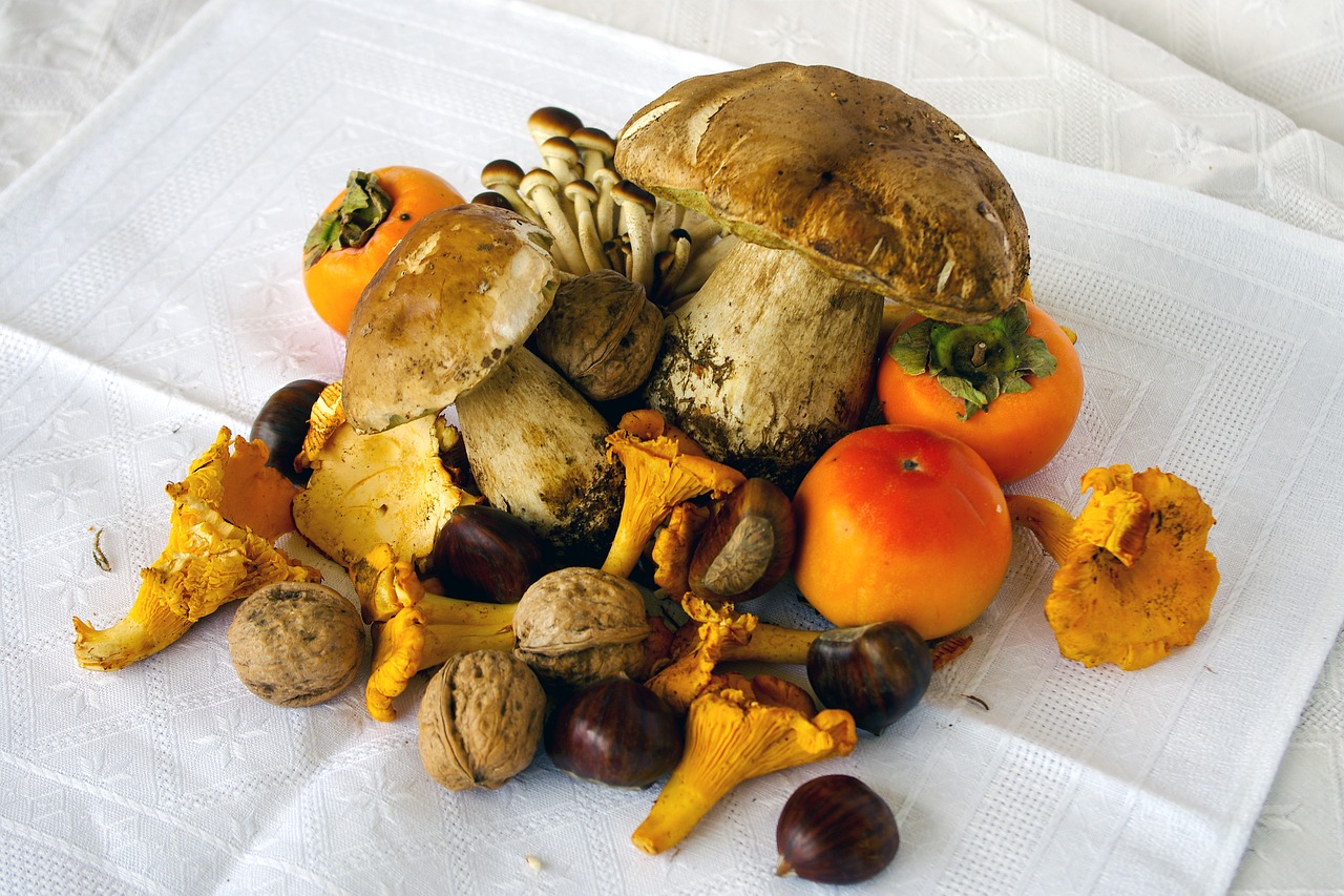 Gastronomie cèpes et girolles