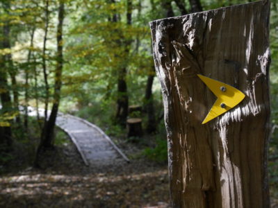 La vallée du Brezou se dévoile