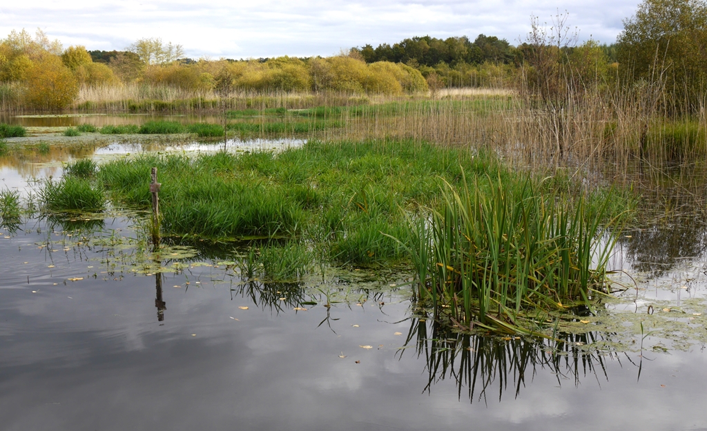 La vallée du Brezou