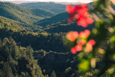 Ouvrir une parenthèse à Tulle en Corrèze