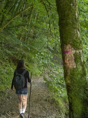 Chemins des 3 Corrèzes : une grande itinérance au cœur de Tulle Agglo