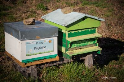 _Nadia_Mauleon-Manuel_Vigneron-Miel-Agriculteur-015