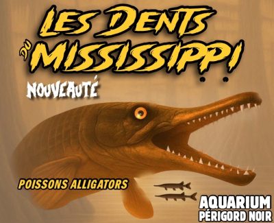 1. Nouveaut‚ 2026 Les Dents du Mississippi