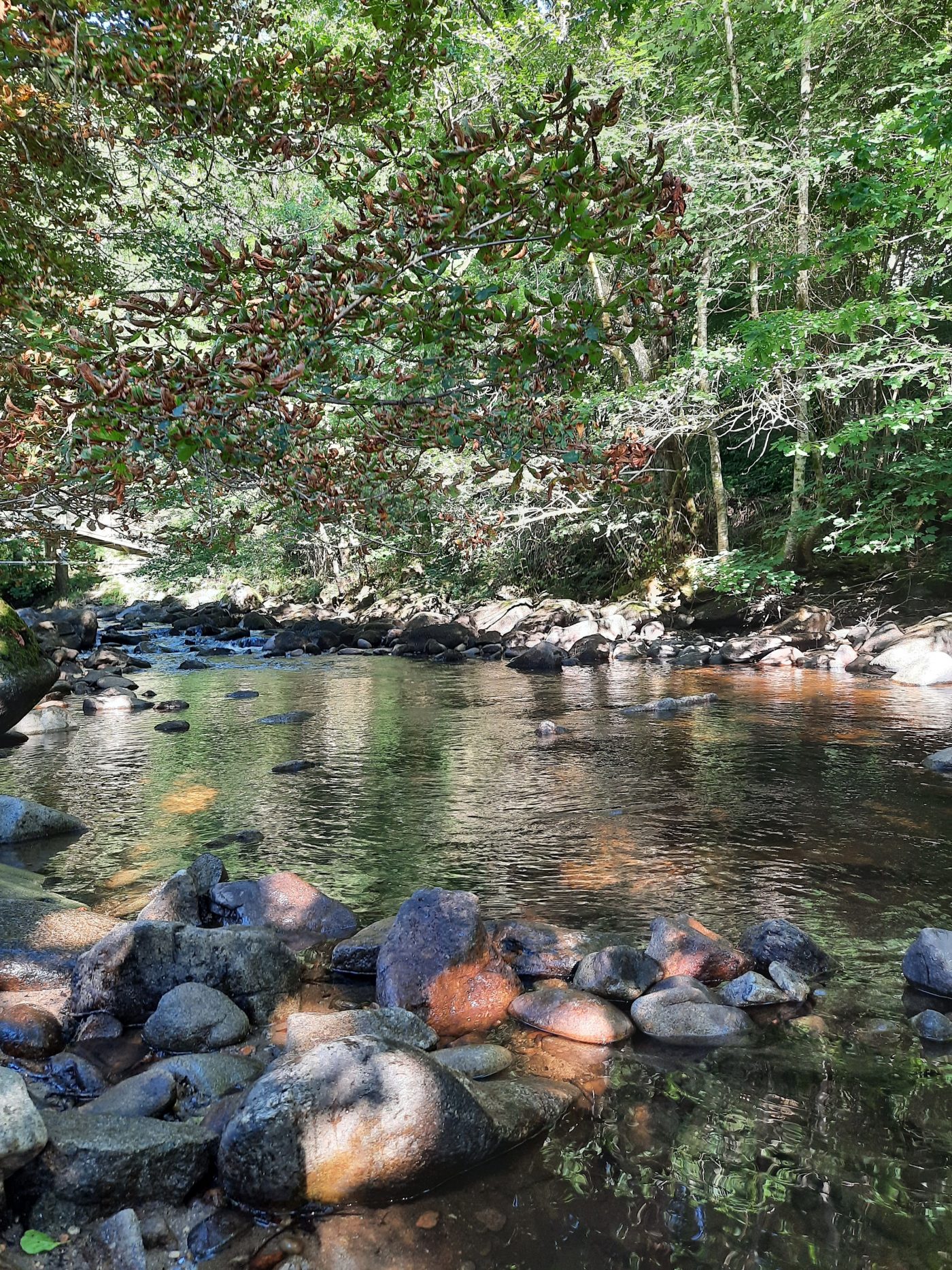 La rivière accessible pour les baignades et la pêche_3