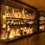 Musée du président Jacques Chirac_8