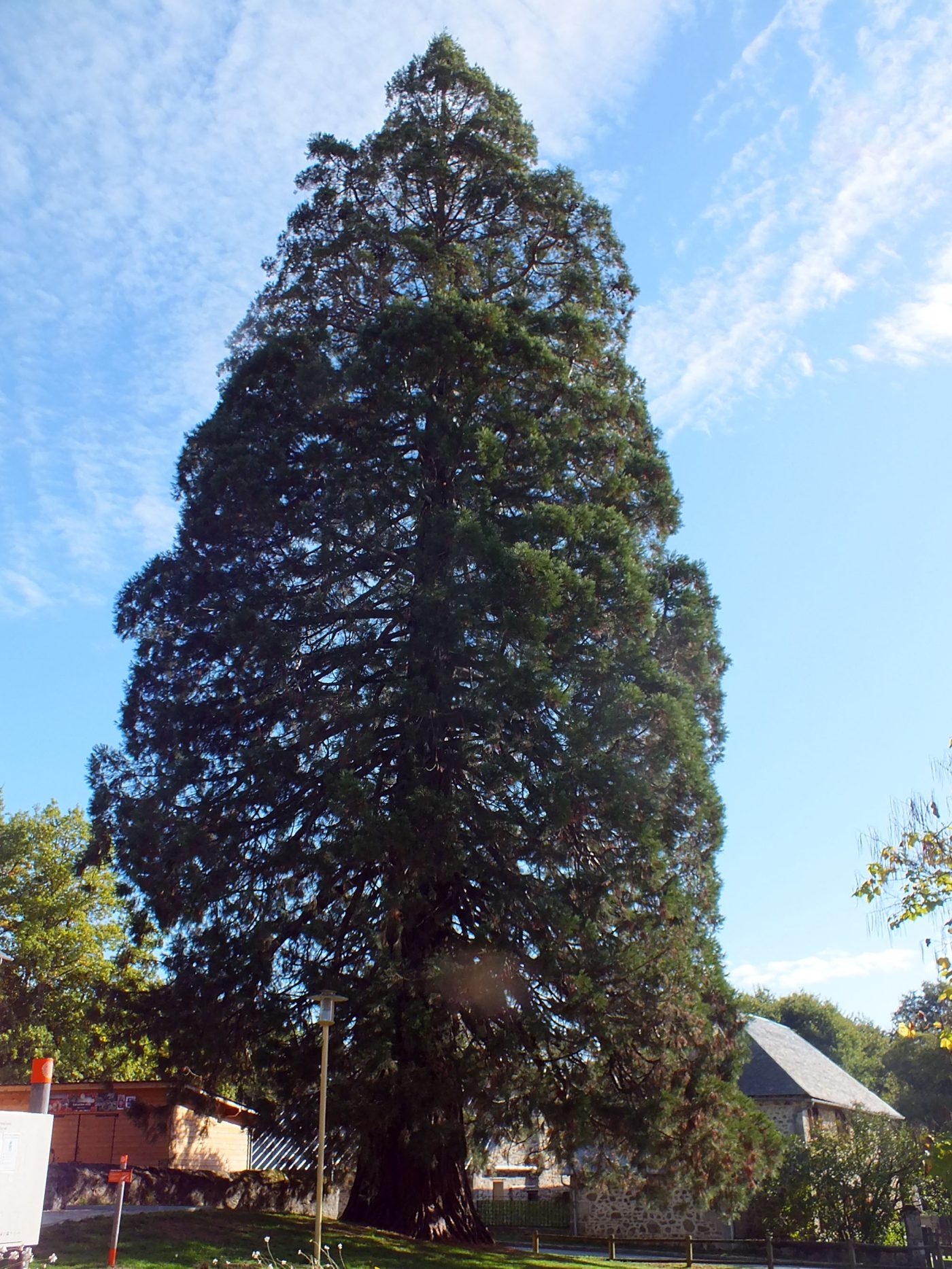 Maison de l’arbre et de la nature_8