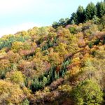 Des vergers aux berges de la Corrèze_4