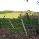 Des vergers aux berges de la Corrèze_6