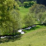 Le pays vert Chanteixois du Puy Maurians aux Zignalets_7