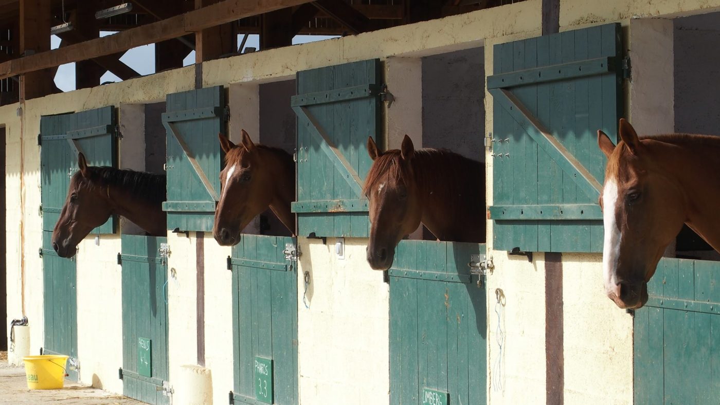 Les Ecuries du Tilleul_2