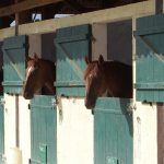 Les Ecuries du Tilleul_2