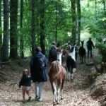 balade en sous bois_2