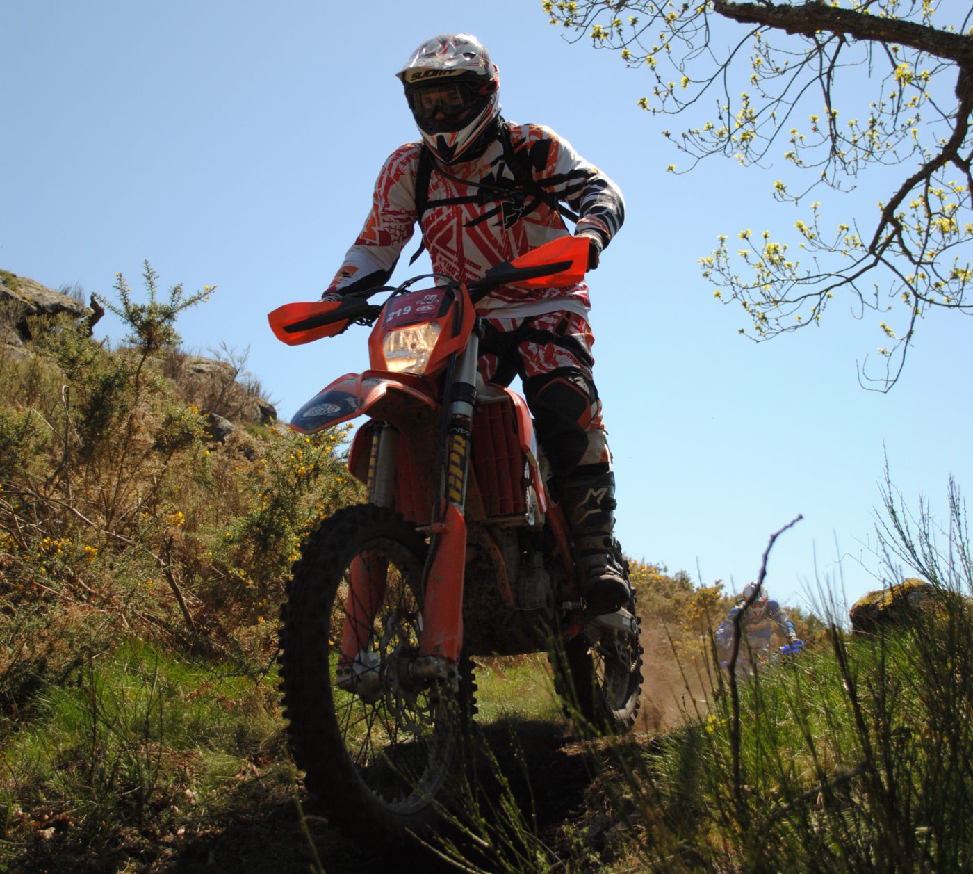 Spe Photo 5