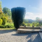 Meublé de Tourisme A L&rsquo;OMBRE DU TULIPIER_13