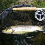 ©Guillaume ALTIERI_2