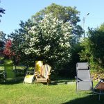 Ferme Apicole d&rsquo;Espagnac_3