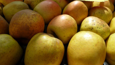 Photo 1 d’appel