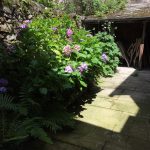 Location Corrèze Médiéval_8