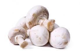 Les champignons de Ladignac_1