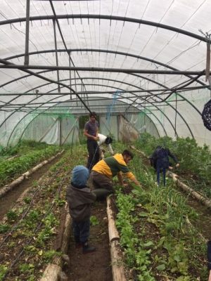 Le Battements d&rsquo;ailes_1