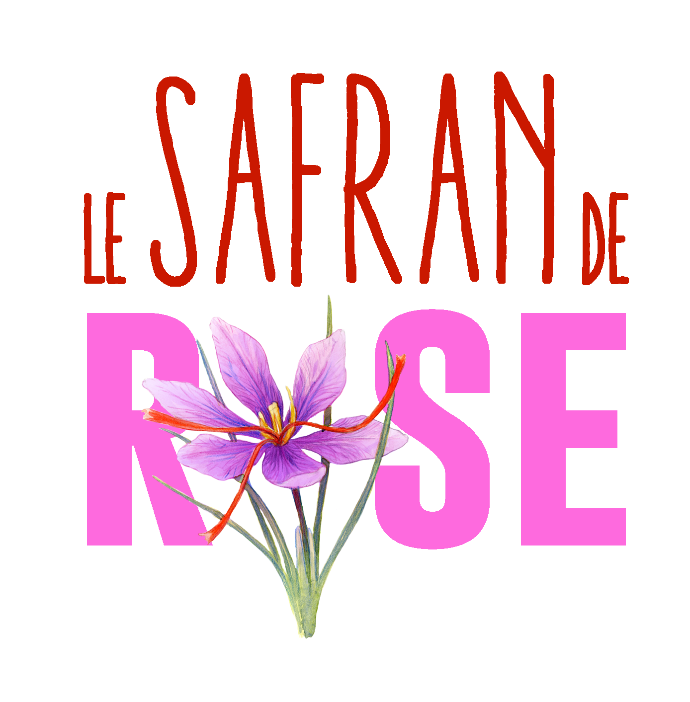 Le safran de rose_1