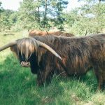 La ferme de Jolie Fleur_2