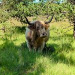 La ferme de Jolie Fleur_3