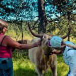 La ferme de Jolie Fleur_4