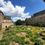 Vue sur le cloître_15