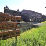 Des Pierres Fleuries_1