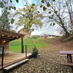 Des Pierres Fleuries_49