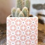 Des Pierres Fleuries_11