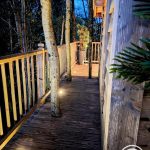 Cyprès si Haut !_23