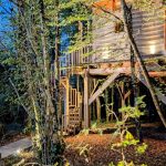 Cyprès si Haut !_20