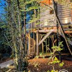 Cyprès si Haut !_21