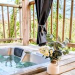 Cyprès si Haut !_10