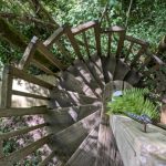 Cyprès si Haut !_6