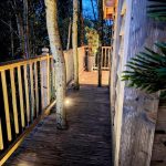 Cyprès si Haut !_22