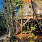 Cyprès si Haut !_20