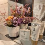 Cyprès si Haut !_19