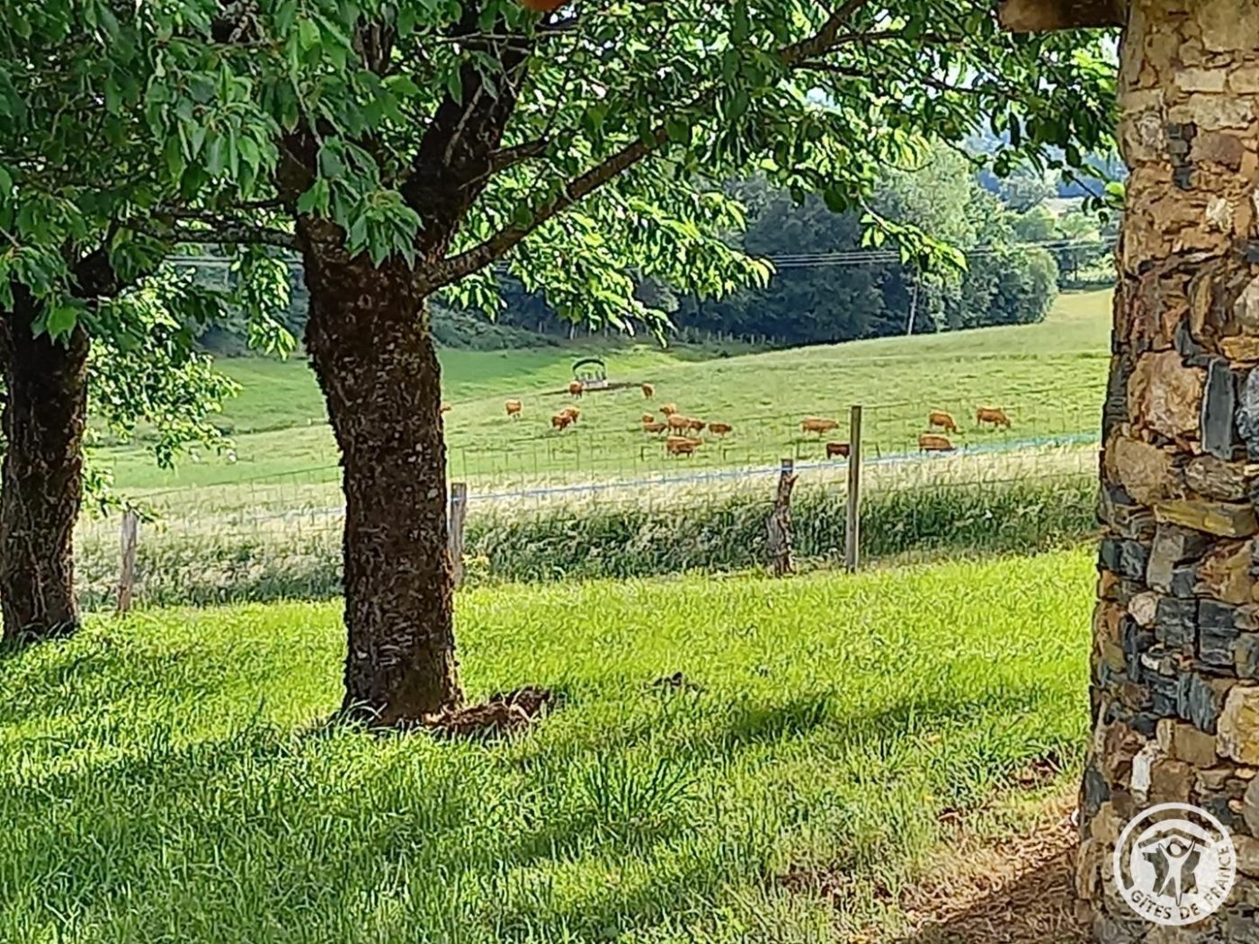 L&rsquo;HIRONDELLE_22