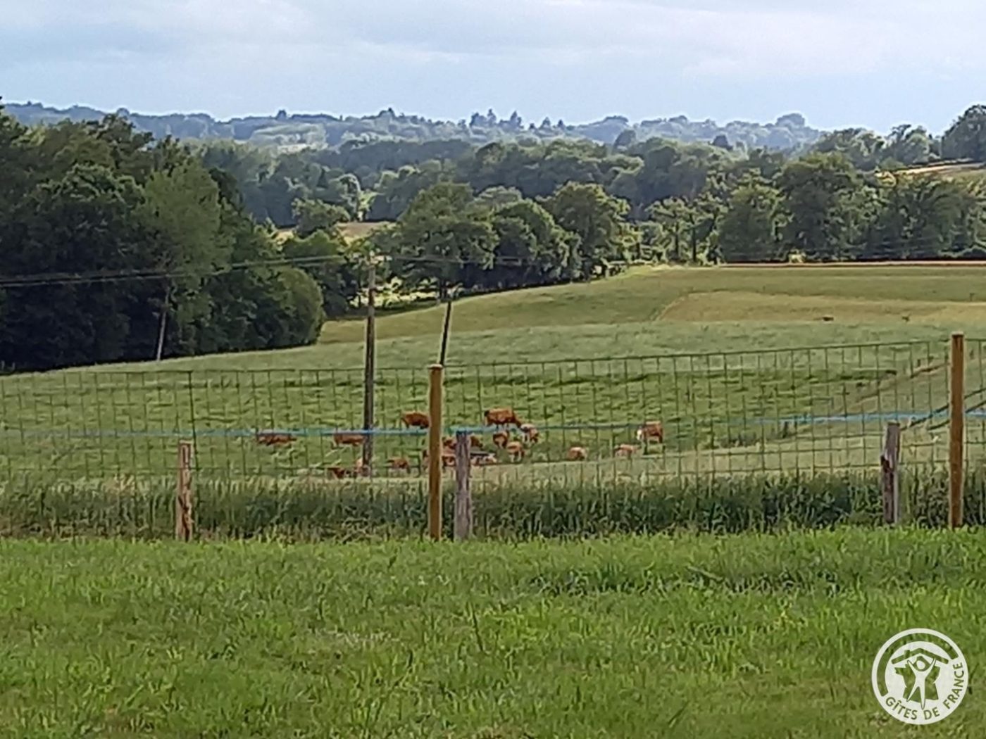 L&rsquo;HIRONDELLE_24