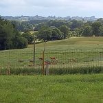 L&rsquo;HIRONDELLE_24