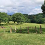 L&rsquo;HIRONDELLE_28