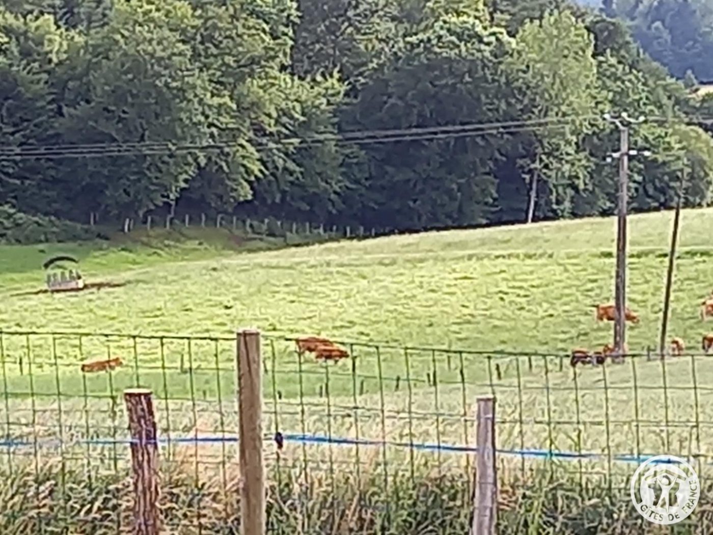 L&rsquo;HIRONDELLE_23