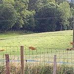 L&rsquo;HIRONDELLE_23