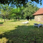 L&rsquo;HIRONDELLE_24