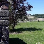 La Grange Libellule_41