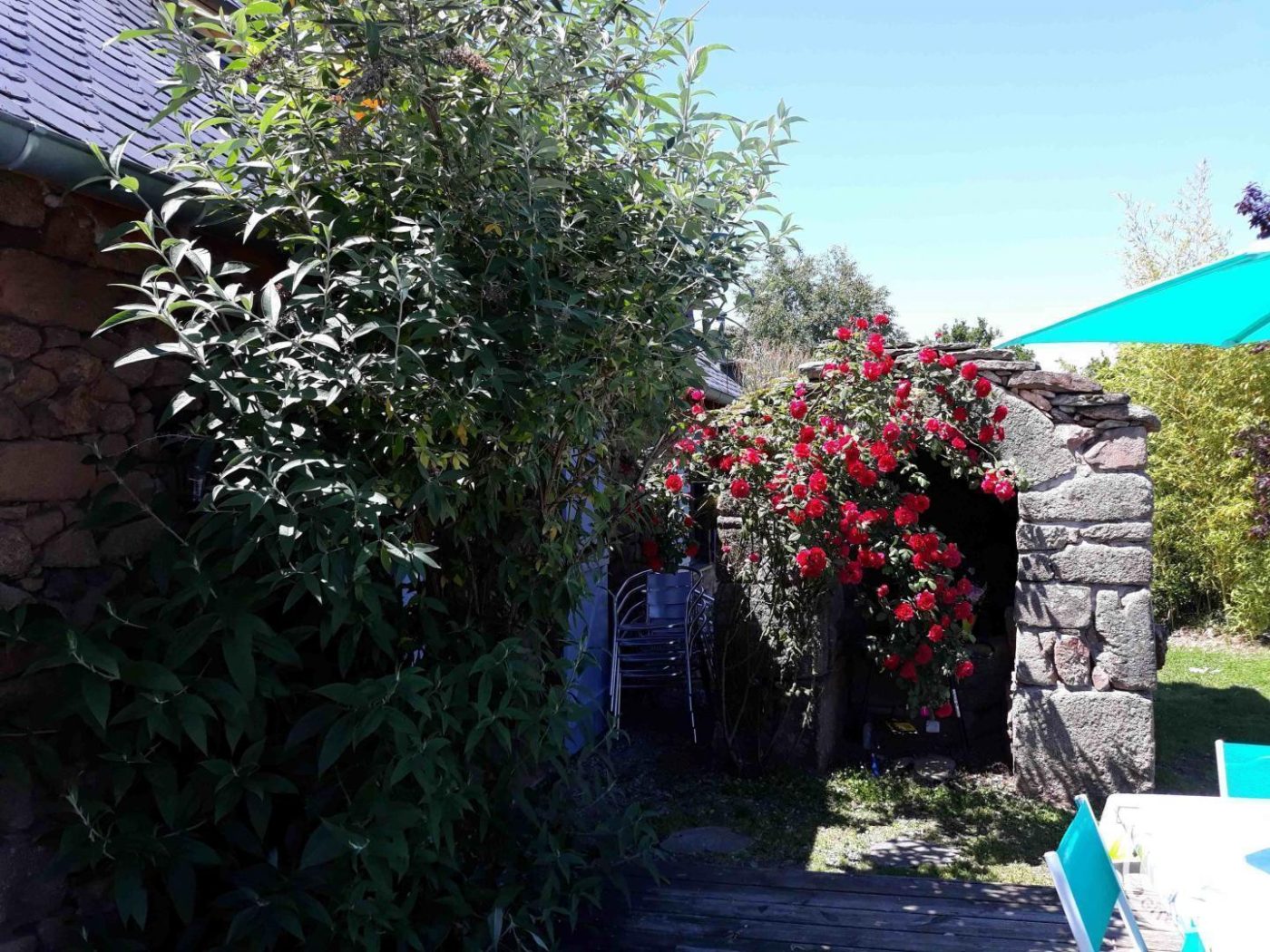 La Grange Libellule_42